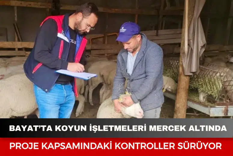 Bayat’ta koyun işletmeleri mercek altında: Proje kapsamındaki kontroller sürüyor