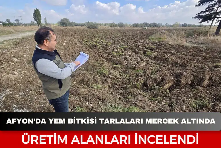 Afyon’da yem bitkisi tarlaları mercek altında: Üretim alanları incelendi