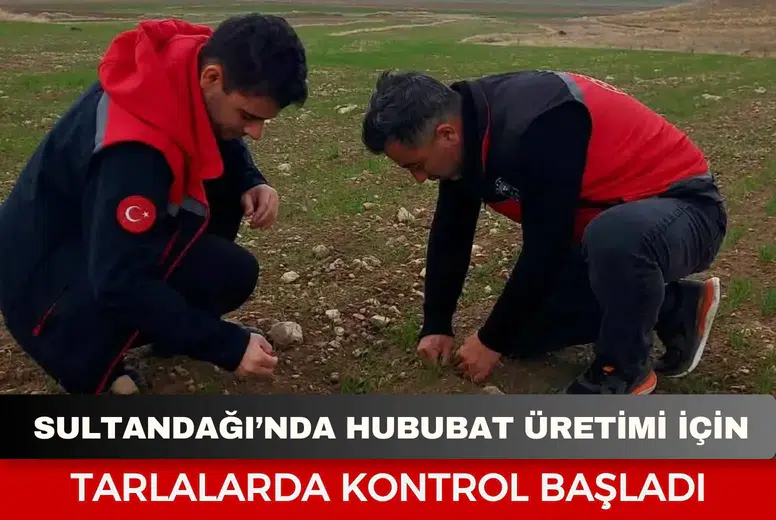 Sultandağı’nda hububat üretimi için tarlalarda kontrol başladı