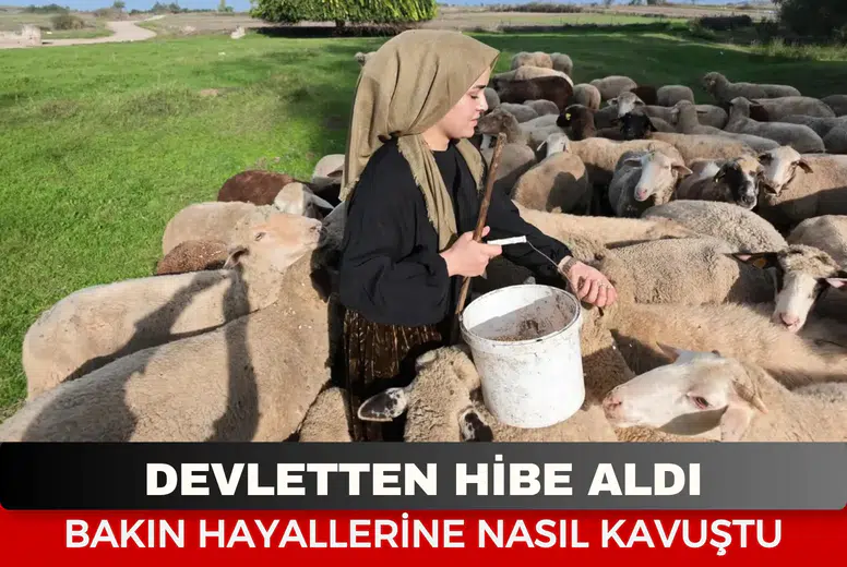 100 Bin TL Hibe Aldı, 150 Koyunluk Sürü Kurdu! Kazandığı Parayla Araba Bile Aldı