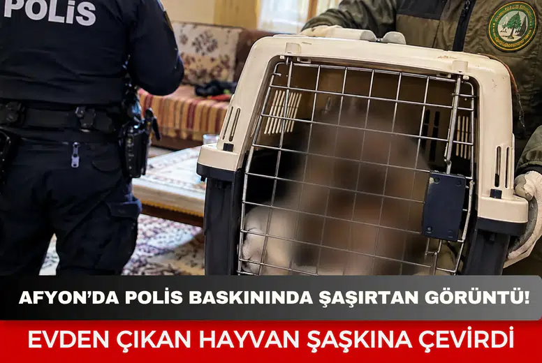 fyon’da polis baskınında şaşırtan görüntü: Evden çıkan hayvan şaşkına çevirdi