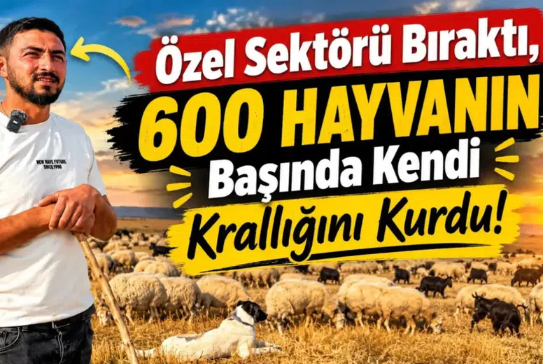 Afyonlu Genç Çobanın Yaşam Felsefesi Dikkat Çekti: “Para Pulla İşimiz Yok”