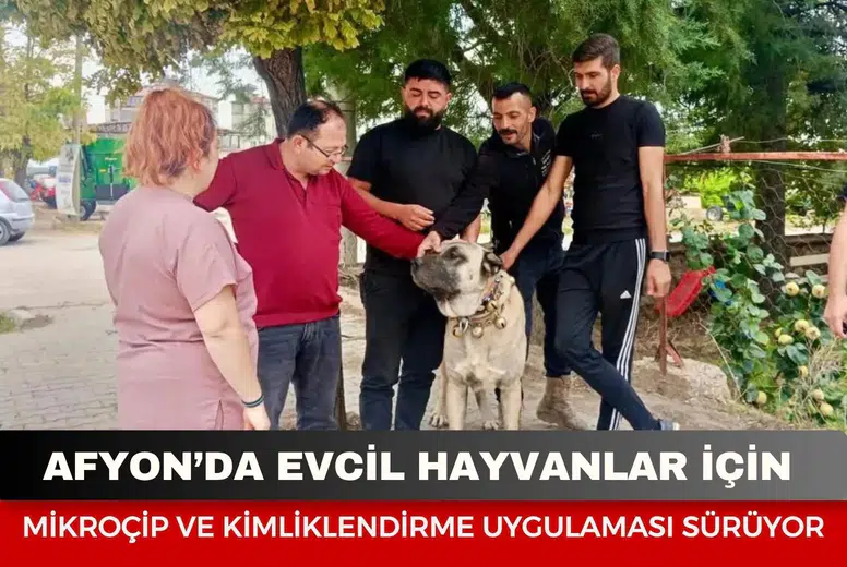 Afyon’da evcil hayvanlar için mikroçip ve kimliklendirme uygulaması sürüyor