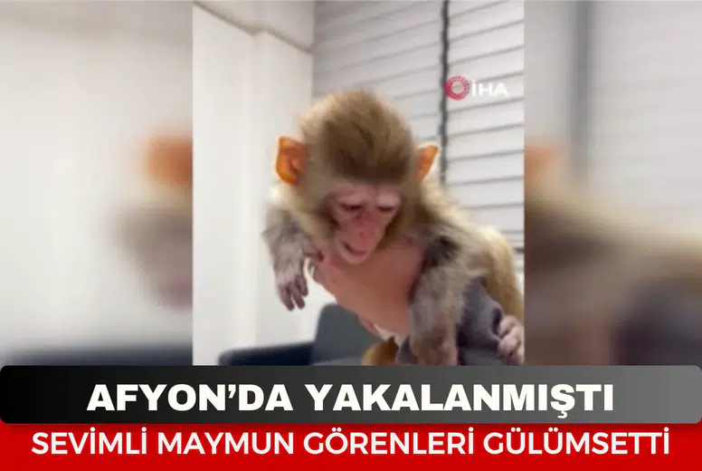 Baskında Eee geçirilen nesli tükenmekte olan maymunun görüntüleri tebessüm ettirdi!