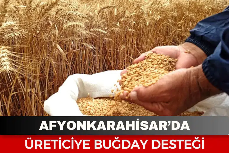 Afyonkarahisar’da üreticiye buğday desteği