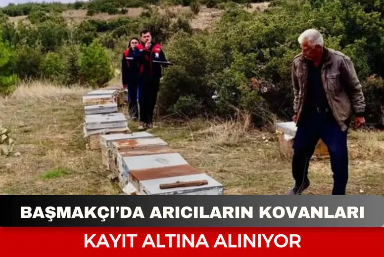 Başmakçı’da arıcıların kovanları kayıt altına alınıyor